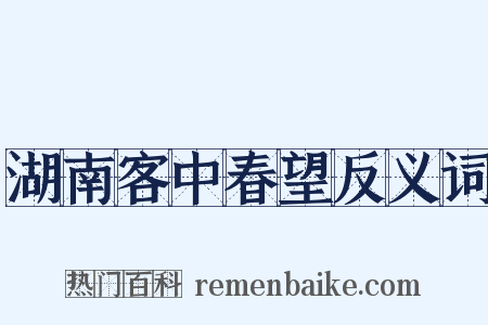 湖南客中春望反义词是什么意思的图片